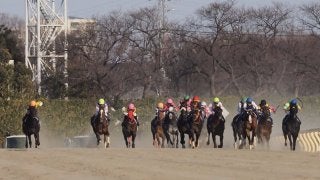 【フェブラリーS】ルメール「また2着…」レース後 ジョッキーコメント