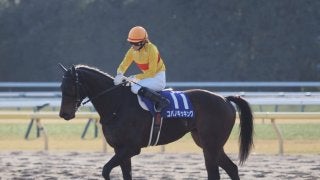 【フェブラリーS】菜七子「泣きそうにはなりました」G1初騎乗は果敢に追い込み大健闘の5着