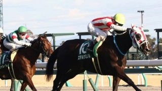 エテルナミノル号が競走馬登録抹消
