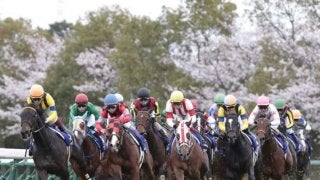 レーヌミノル号が競走馬登録抹消