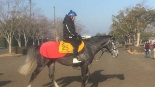 【中山記念】ウインブライト 中山巧者で互角以上の走り見せる