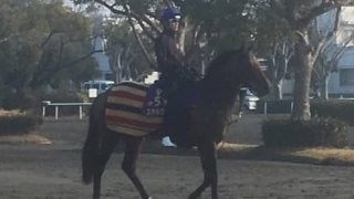 【中山記念】ステルヴィオ 丸山が新コンビ