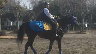 【阪急杯】タイムトリップ 菊川師「コース的には合っている」