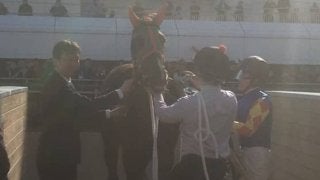 土曜中山９Ｒ・黄梅賞はスクリーンヒーロー産駒のレノーアがＶ