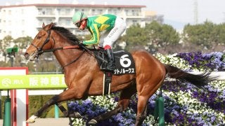【すみれS】良血サトノルークスが3勝目をマーク！クラシックへ手応え