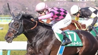 【阪急杯】藤岡佑「かなり能力が高い」スマートオーディンが復活V！