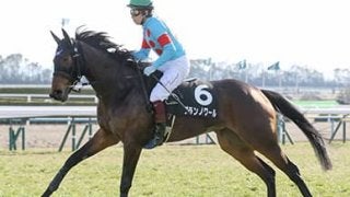 チューリップ賞は、名門一家の２頭が本命ダノンファンタジー越えを狙う