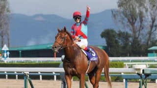 グレイスフルリープ号が競走馬登録抹消
