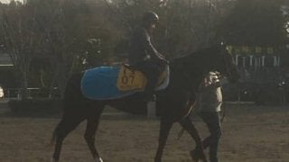 【オーシャンS】ナックビーナス 3度目の正直なるか