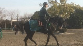 【チューリップ賞】良血シェーングランツ巻き返しなるか