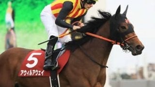 ＧＩ回避がプラスに。アウィルアウェイがパワーアップして復活！