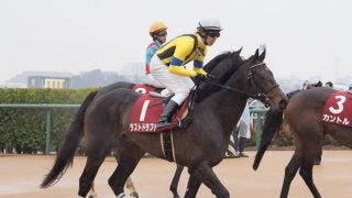 【弥生賞】ラストドラフト直線失速…7着敗退