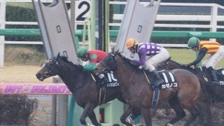 【総武S】14番人気 マイネルオフィールが差し切る波乱！