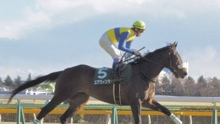 【武豊日記】金鯱賞、楽しみのような怖いような…