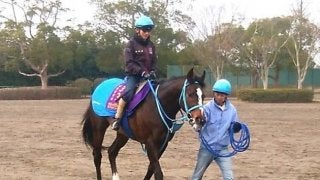 【阪神スプリングジャンプ】オジュウチョウサン 障害復帰で貫禄の走りなるか