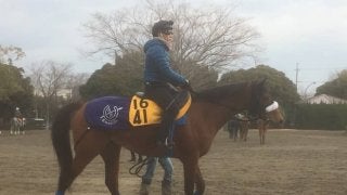 【中山牝馬S】フロンテアクイーン 重賞2着が5回！待望の制覇へ