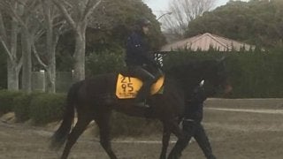 【中山牝馬S】ワンブレスアウェイ 古賀慎師「ラストランに相応しいデキ」