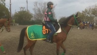 【フィリーズレビュー】ココフィーユ 逆輸入ジョッキーを背に権利取りに挑む