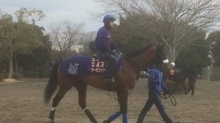 【ドバイ遠征】アーモンドアイ ルメール「何も変わらない」