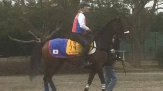 【金鯱賞】メートルダール 得意の条件で2度目の重賞狙う