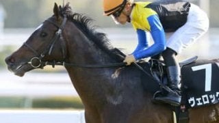 「持ったまま８馬身差」の衝撃。ヴェロックスが再びクラシック候補へ