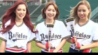 今季のオリックスはハリセンで応援？「ハリセンタイム」とは？