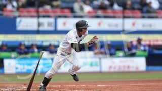 ロッテが本拠地開催のオープン戦フォト写真販売　ドラ1藤原の貴重な1打も