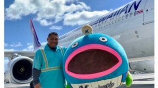 ロッテ戦本観戦でハワイ旅行が今年も当たる　ハワイアン航空とパートナーシップ継続