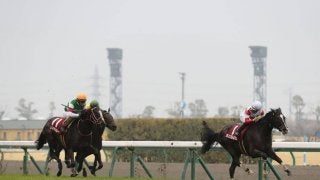 【金鯱賞】ダノンプレミアムが抜け出して重賞4勝目！