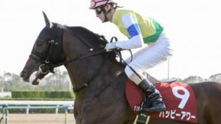 過去の傾向＋消去法→激走。ファルコンＳは評価落ち２頭が狙い目だ