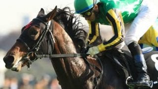 大荒れの前哨戦→スプリングＳも濃厚。今の中山好き３頭が波乱を生む
