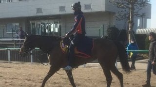 【阪神大賞典】コルコバード ラストランで有終の美なるか