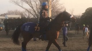 【スプリングS】ディキシーナイト  国枝師「馬が自信をもっている感じ」