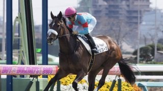 【中山6R】ディープインパクト産駒 セリユーズが圧勝！