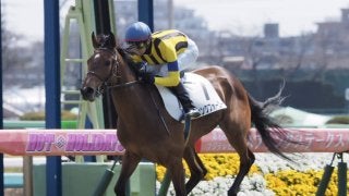 【中山5R】シングフォーユーが逃げ切り！母にシングライクバード