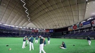 【MLB】アスレチックス、日ハム戦は「未知の領域」米メディアは応援スタイルにも注目