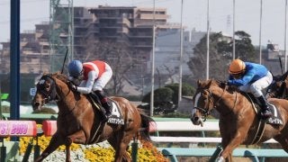 【幕張S】三浦皇成が好調！6番人気ショウナンライズを勝利に導く
