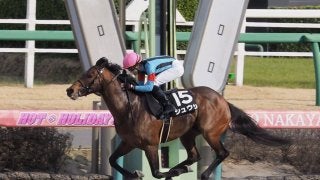 【千葉S】初ダートも関係なし！シュウジが力の違いで勝利
