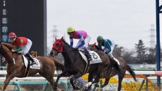 【中山8R】欽ちゃん×武豊 ジョブックコメンは3着