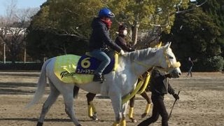 藤田菜七子がスノードラゴンと初コンタクト