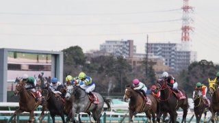 【スプリングS】武豊「やりたいレースは出来た」レース後 ジョッキーコメント