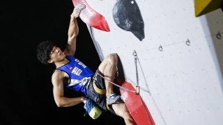 2019シーズンのスポーツクライミング日本代表が発表