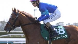 活きのいい４歳馬が有力な高松宮記念は、あえてベテランで勝負すべし