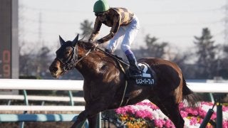 【高松宮記念】武豊モズスーパーフレアは7枠15番