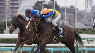 【ミモザ賞】ハービンジャー産駒 エアジーンが2勝目