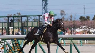 【大寒桜賞】ルーラーシップ産駒 リオンリオンが2勝目