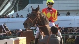 【マーチS】7番人気サトノティターンが快勝！3連単124万の決着