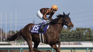 【高松宮記念】武豊「本来の走りでは…」モズスーパーフレア失速