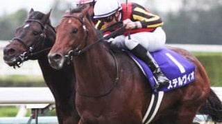 好メンバーが集結した大阪杯。人気の盲点となる３頭で花見を豪勢に！