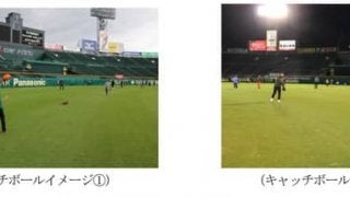 甲子園外野の天然芝生エリアを満喫できる「ナイター親子キャッチボール」4月開催